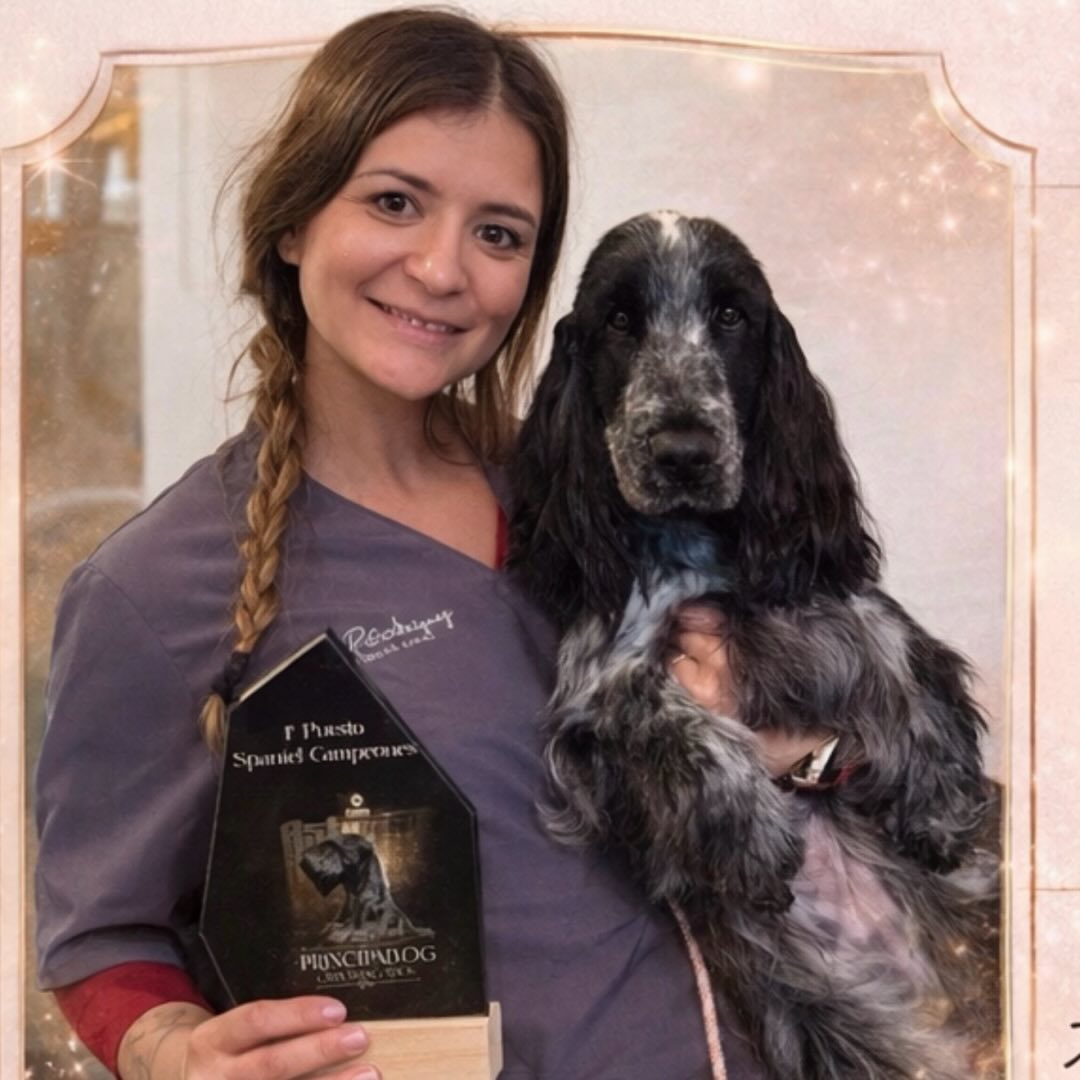 Jennifer Rodríguez trabajando a tijera un caniche en su estudio de Valencia
